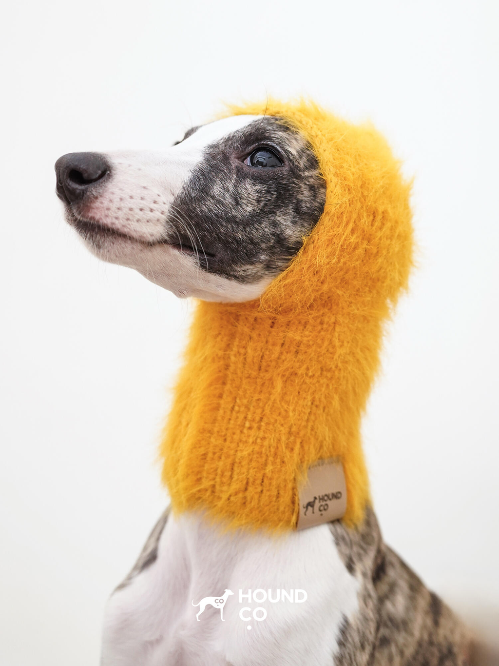 Dog Balaclava