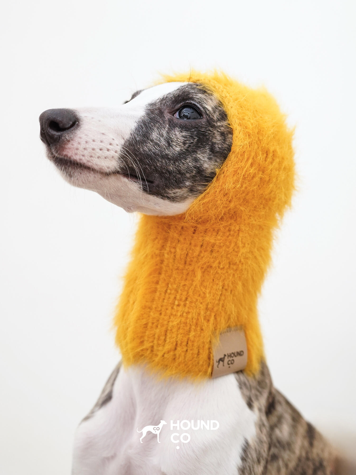 Dog Balaclava
