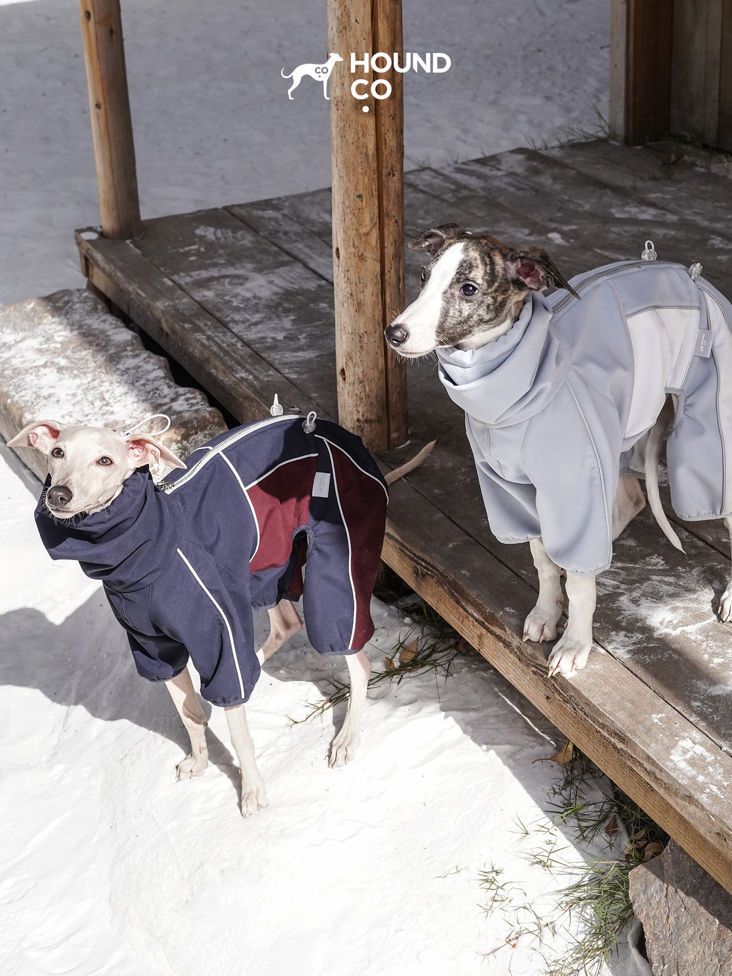 All-Weather Dog Fleece Windbreaker