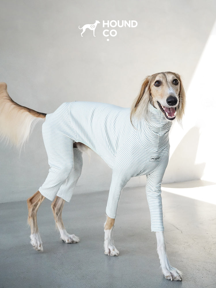 Strips Dog Pajama