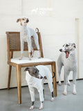 Strips Dog Pajama