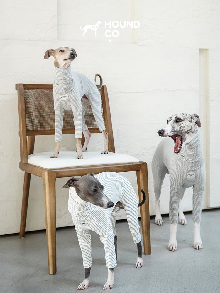 Strips Dog Pajama