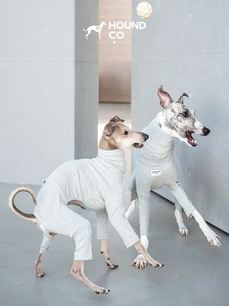Strips Dog Pajama