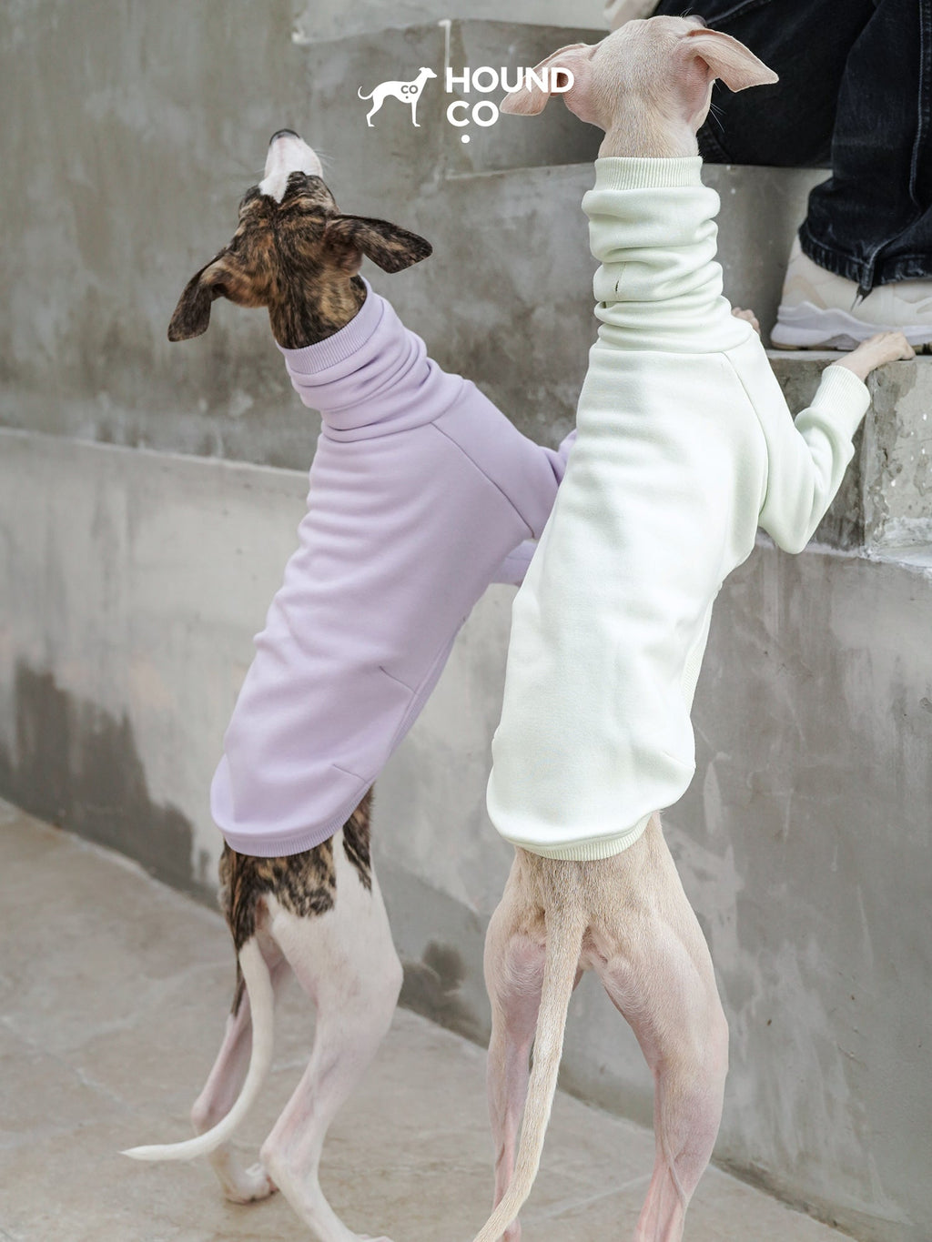 Fleece Sighthound Jumper