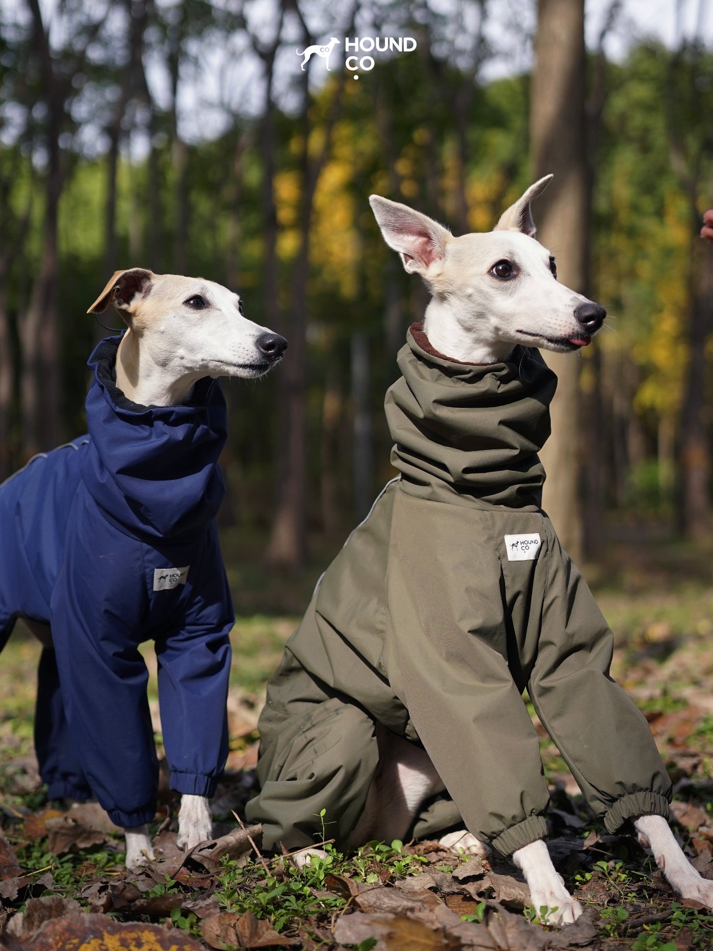 Waterproof Insulated Dog Suit for Winter & Snow