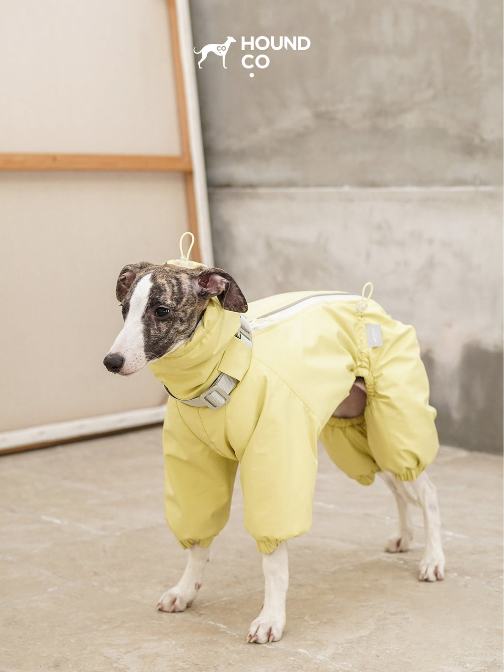 Insulated Full-Body Sighthound Snow Suit