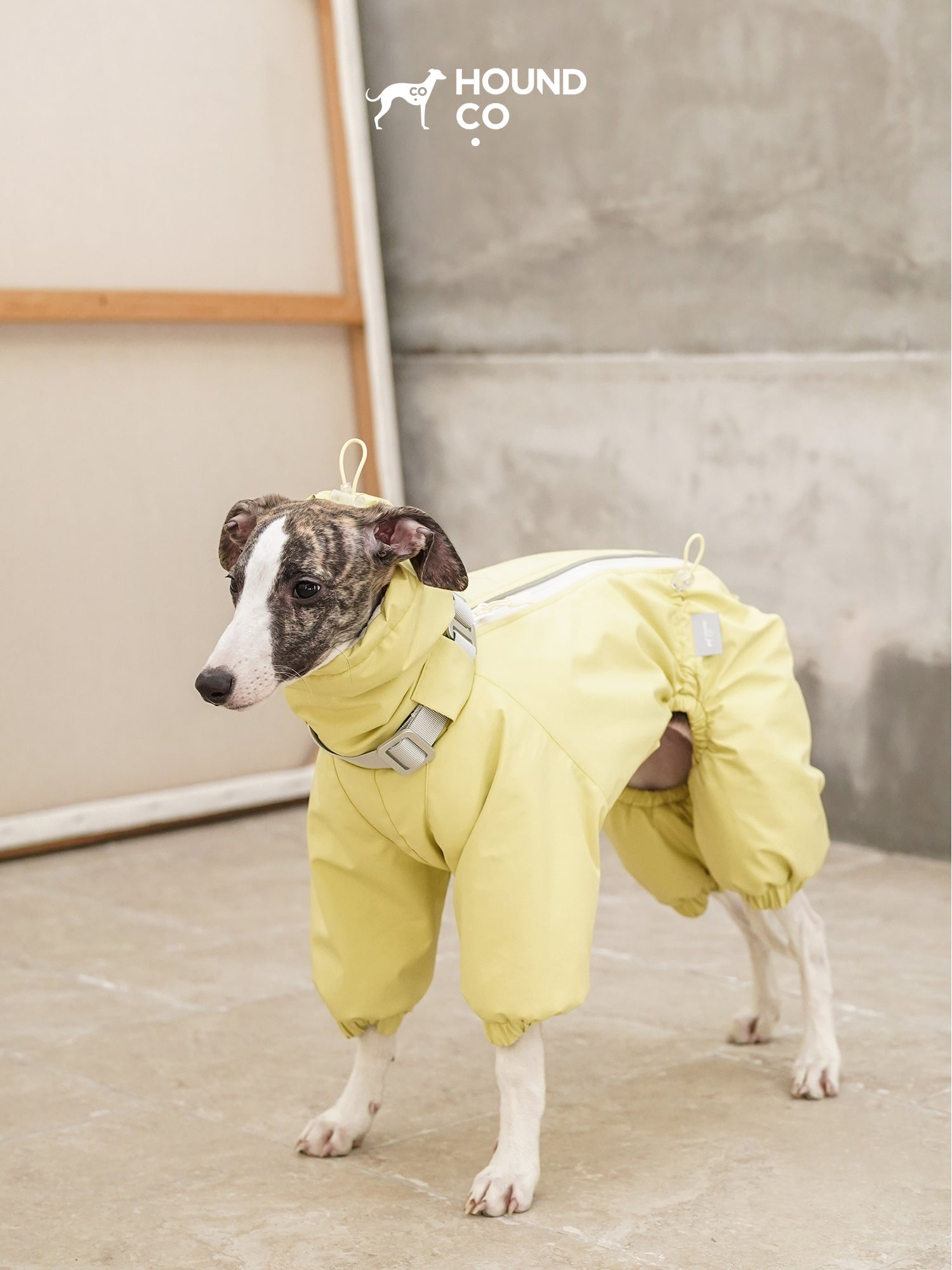 Insulated Full-Body Sighthound Snow Suit