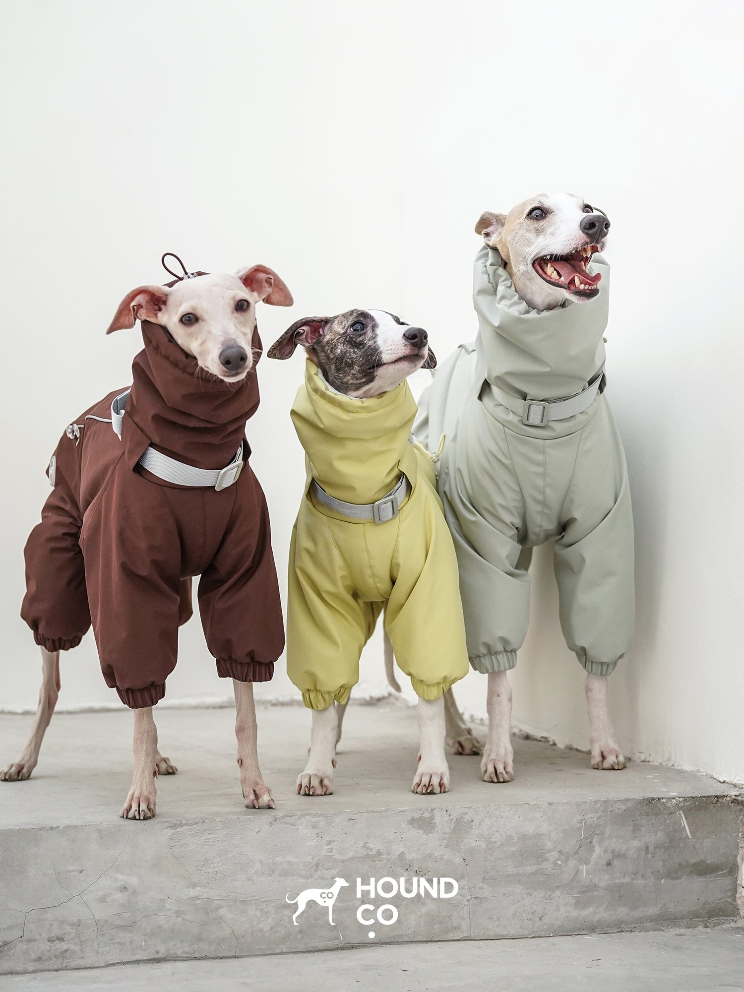 Insulated Full-Body Sighthound Snow Suit