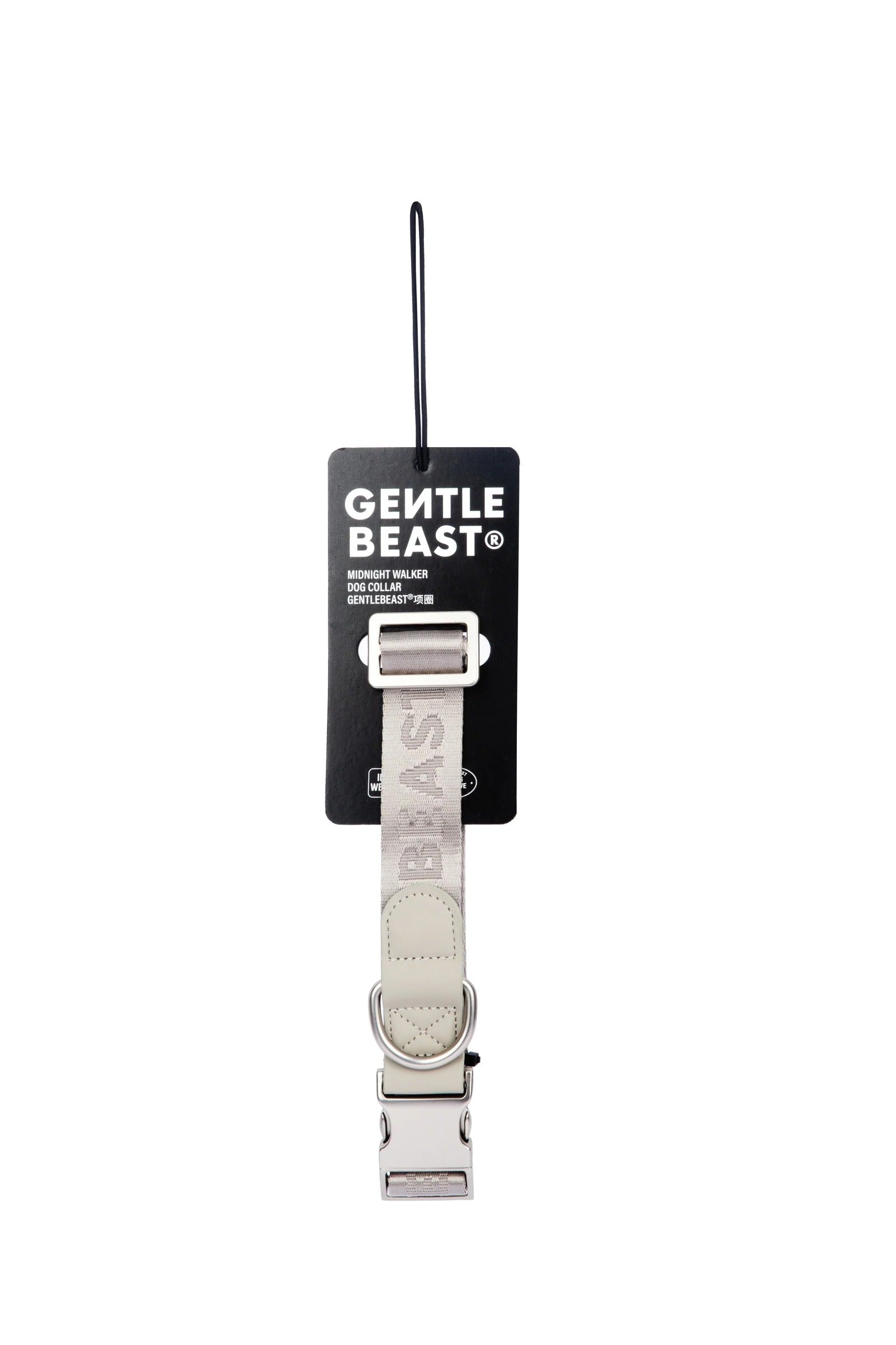 Dog Collar Silver
