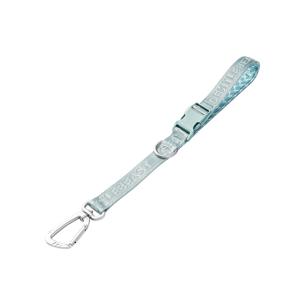 Dog Short Leash Mint Blue