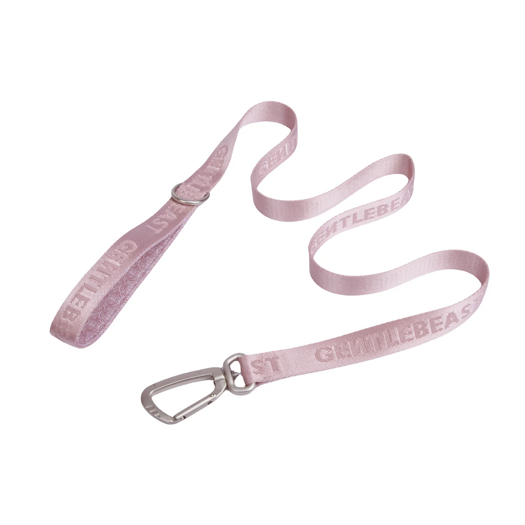 Dog Leash Pink