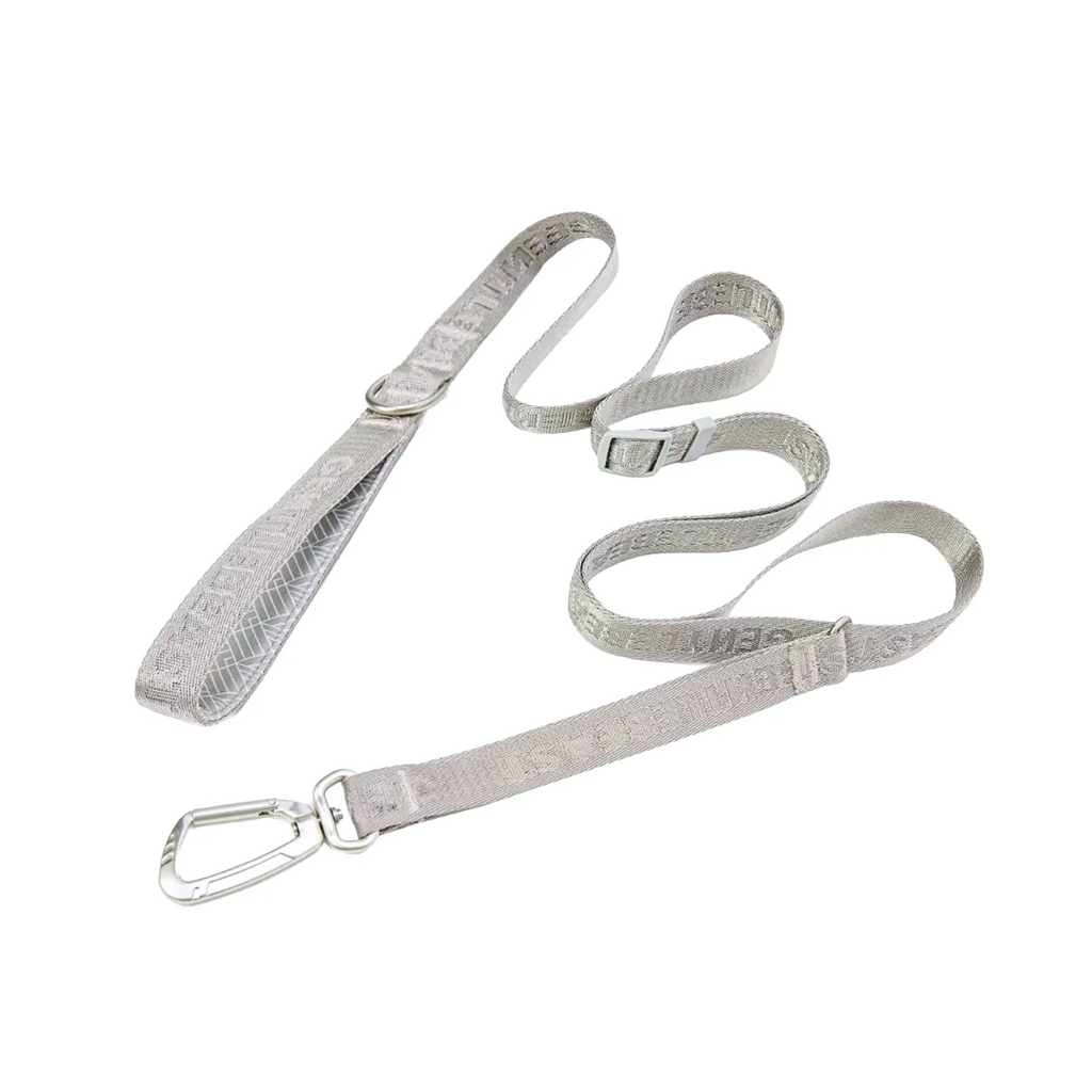 Dog Leash Silver