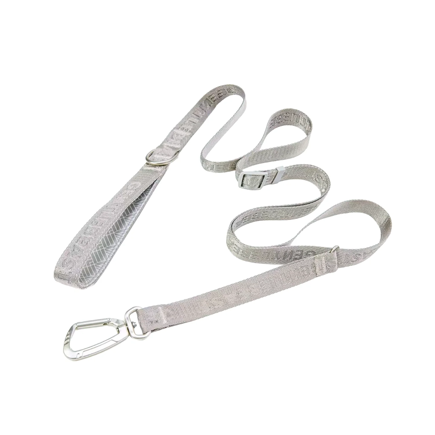 Dog Leash Silver