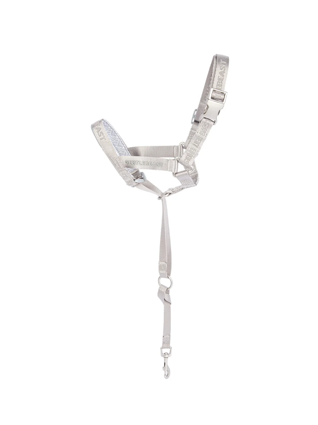 Dog Headcollar Sliver