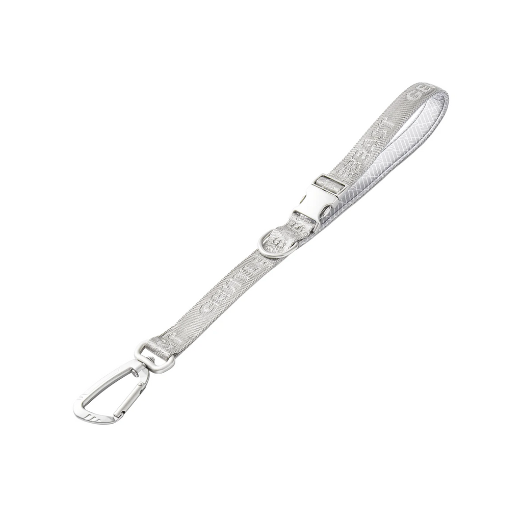 Dog Short Leash Silver