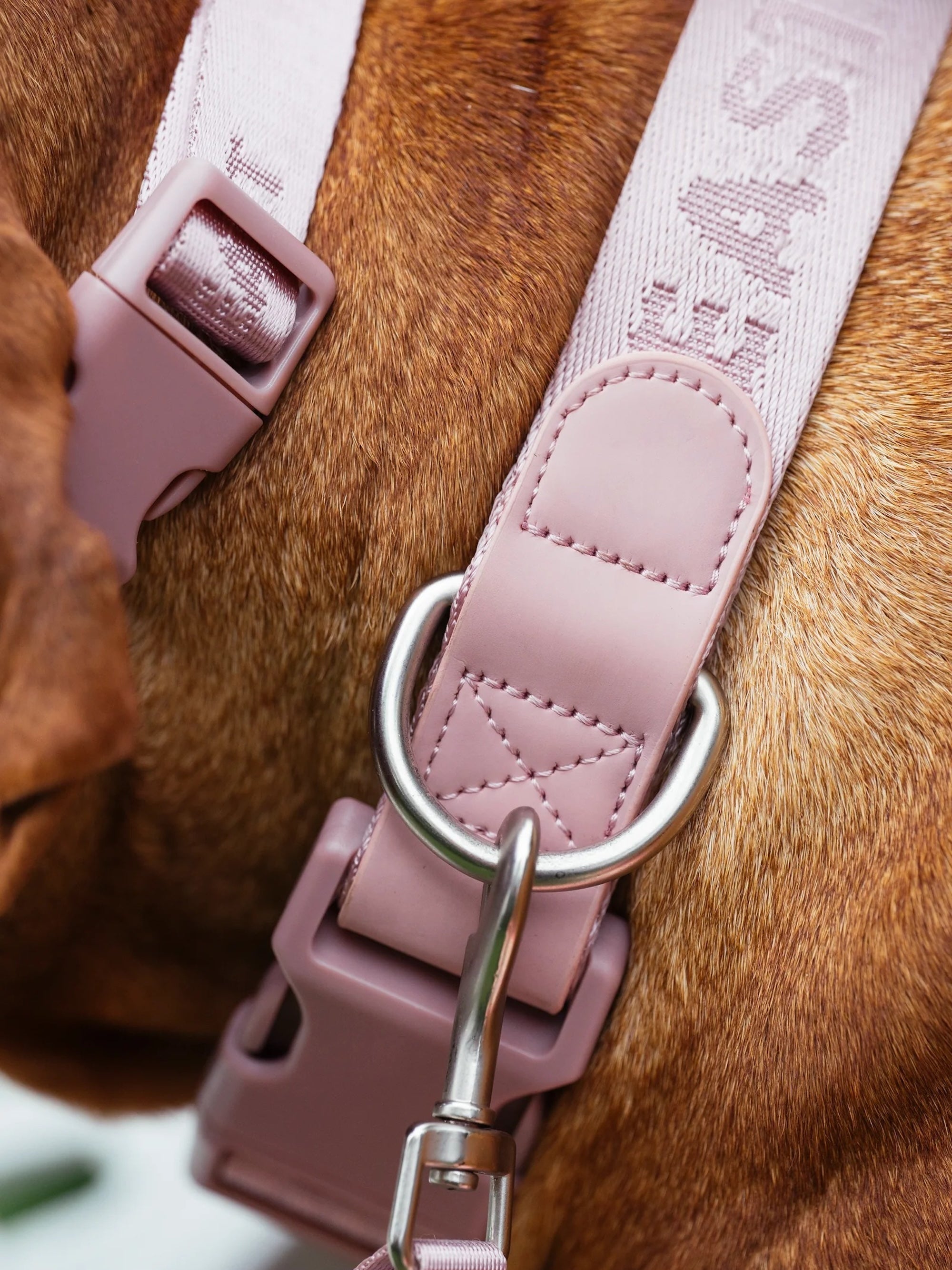 Dog Collar Pink