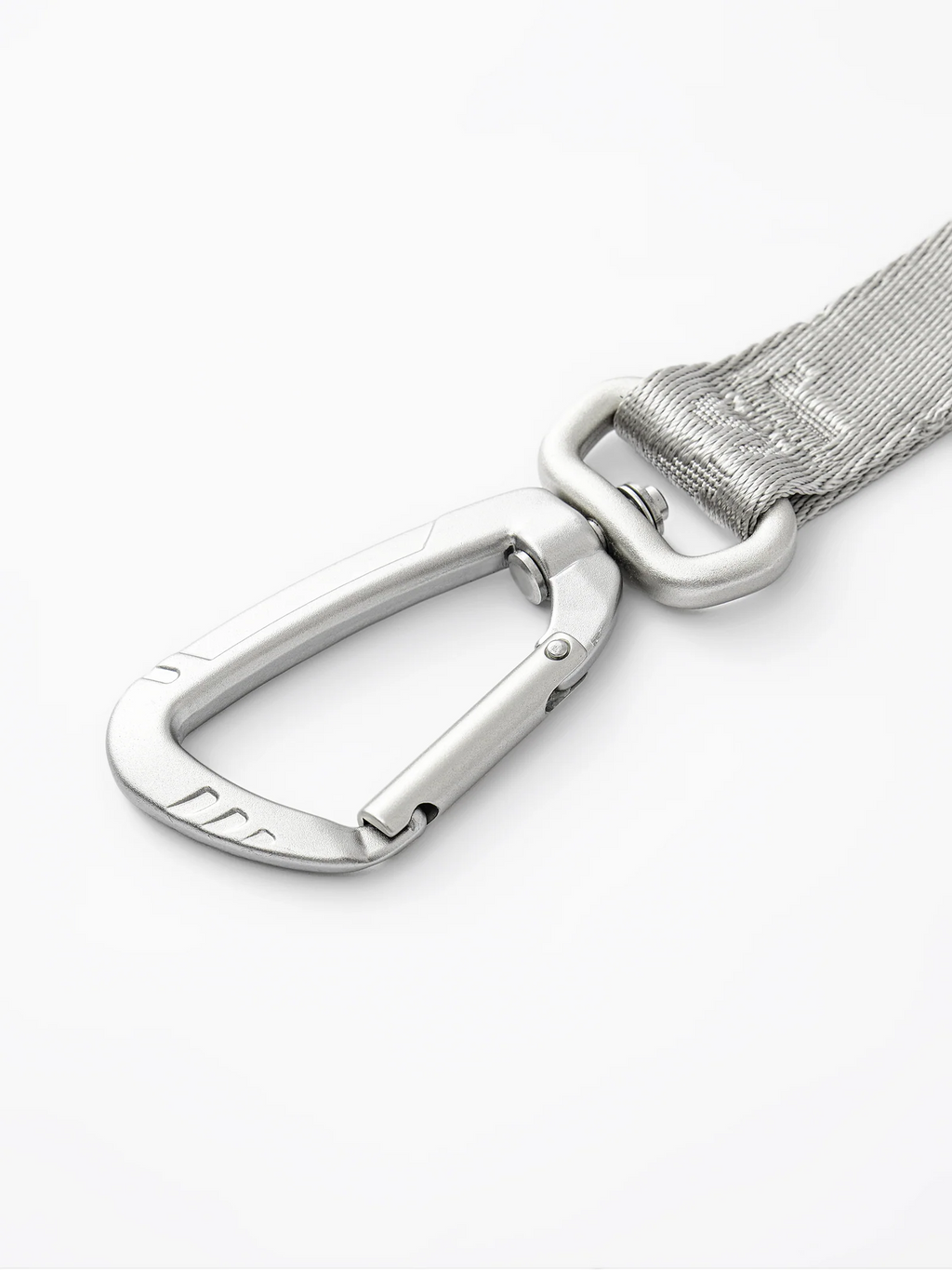 Dog Short Leash Silver