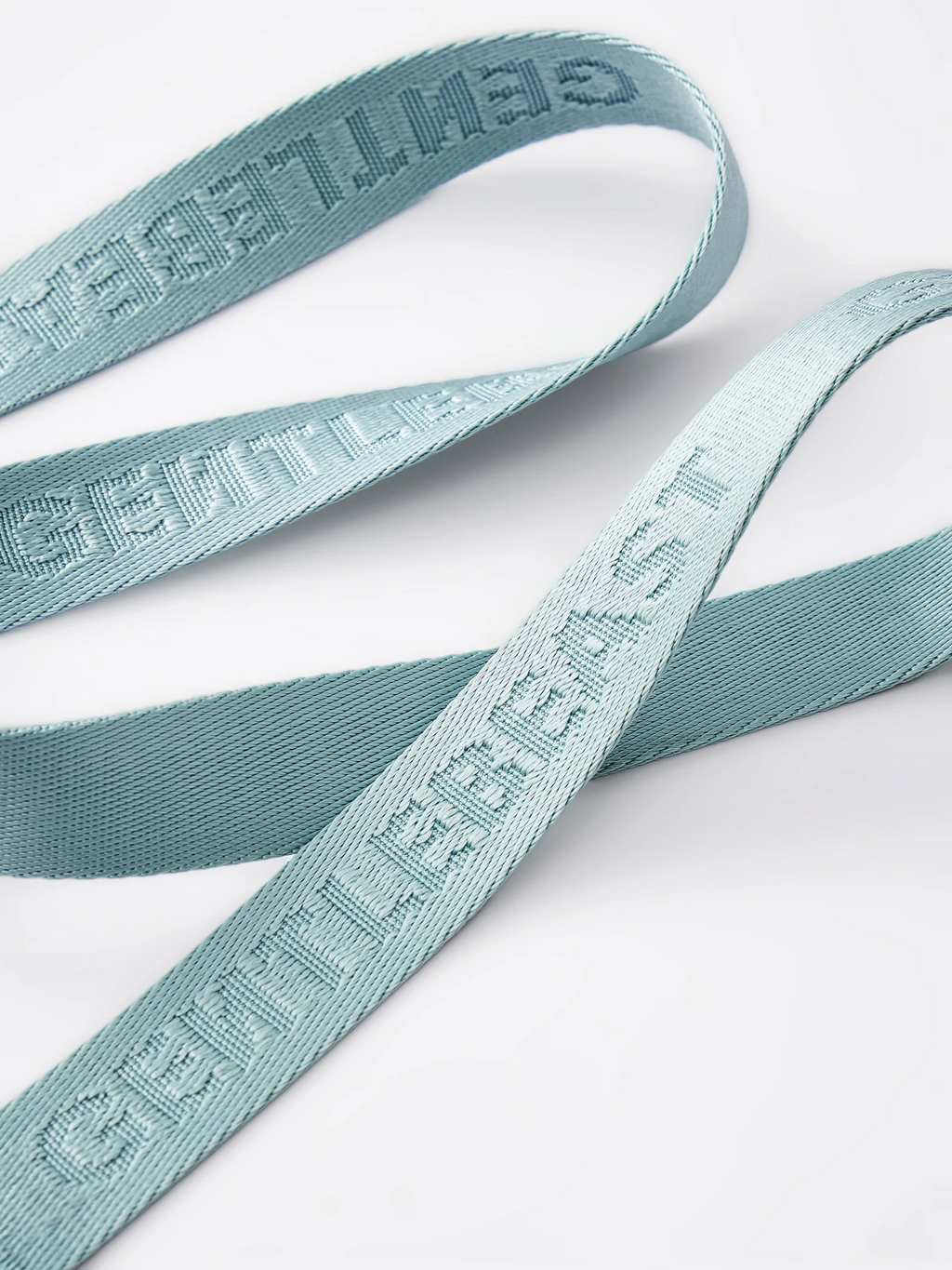 Dog Leash Mint Blue