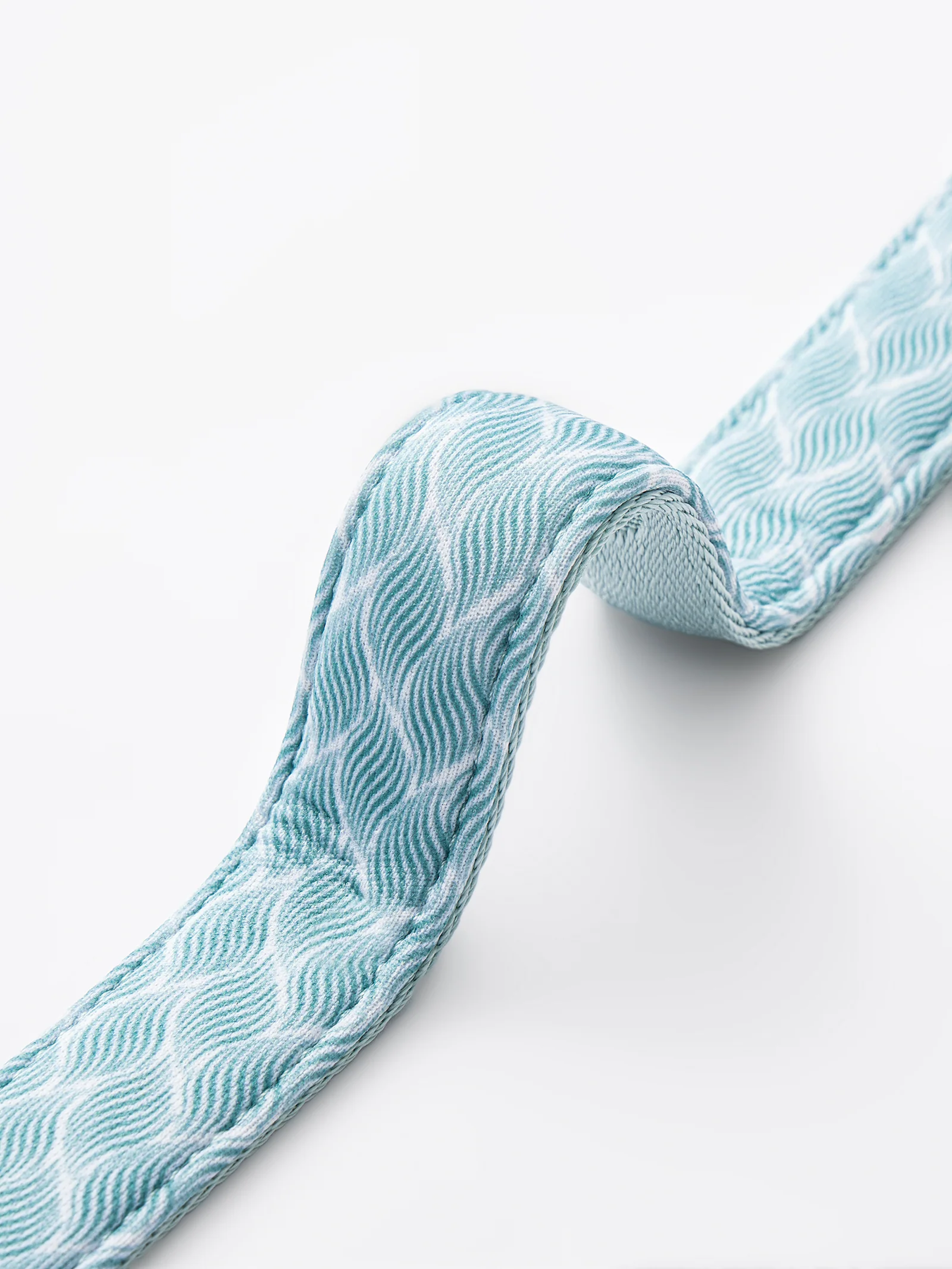 Dog Short Leash Mint Blue
