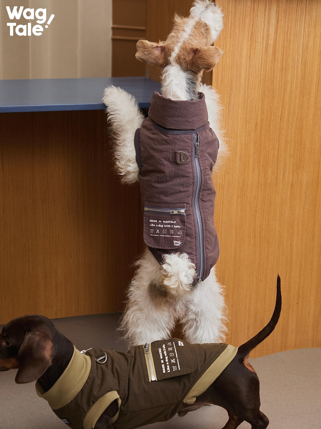 Insulated Dog Vest with Leash Ring