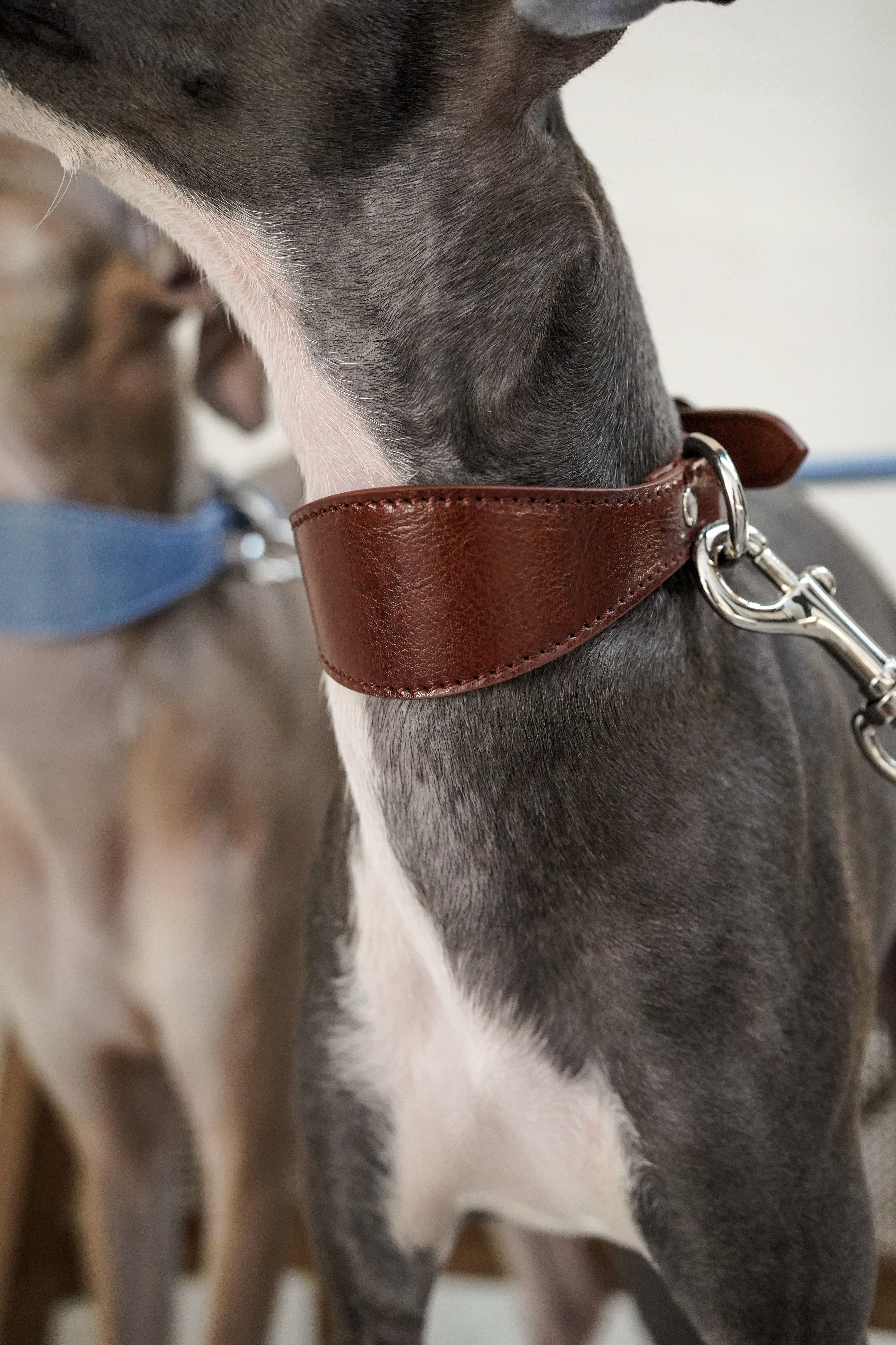 Leather Dog Collar-Leash Set