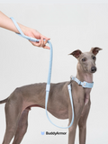 Shock Absorbing Elastic Dog Leash