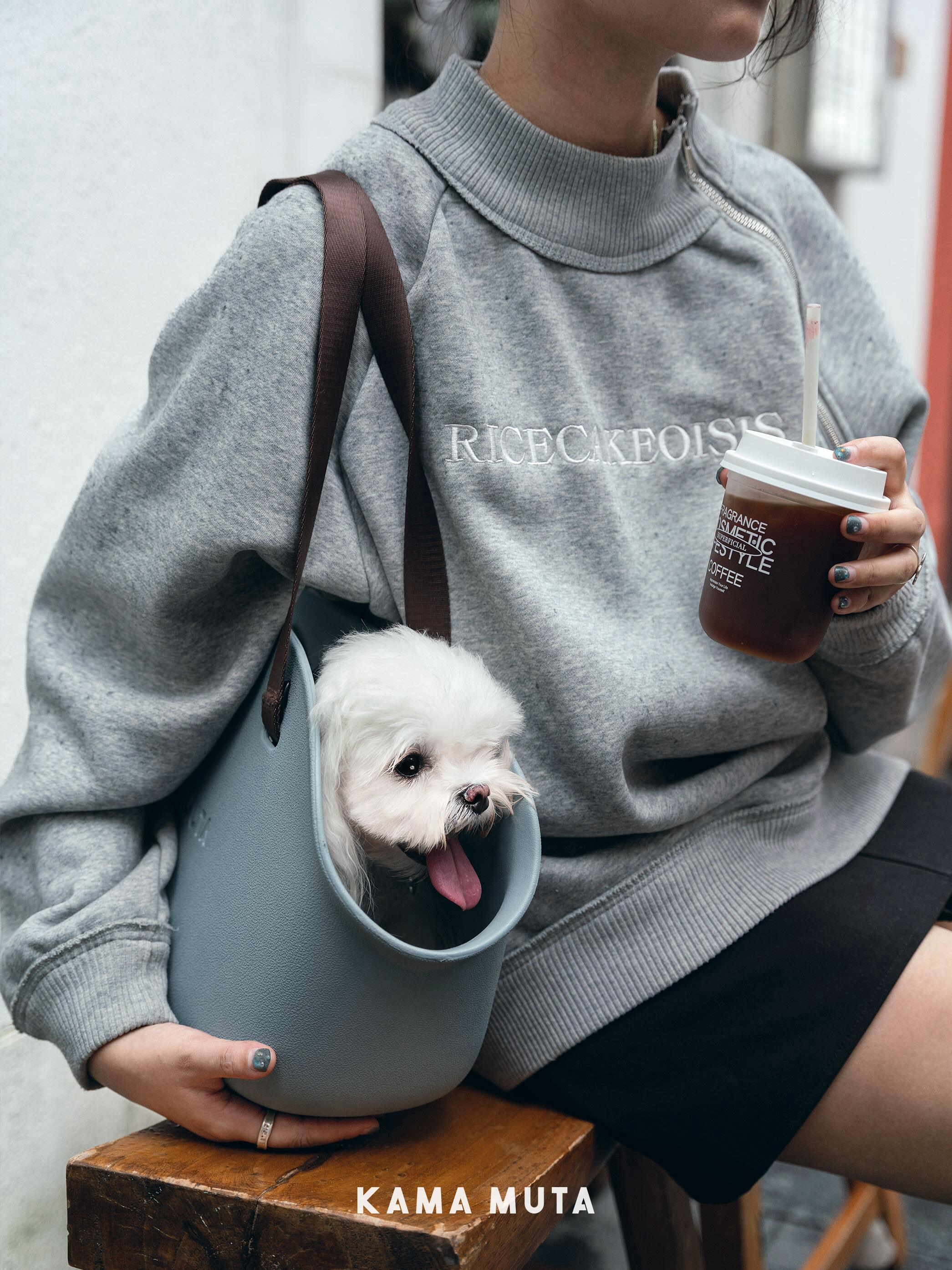 Pet Tote Carrier Bag