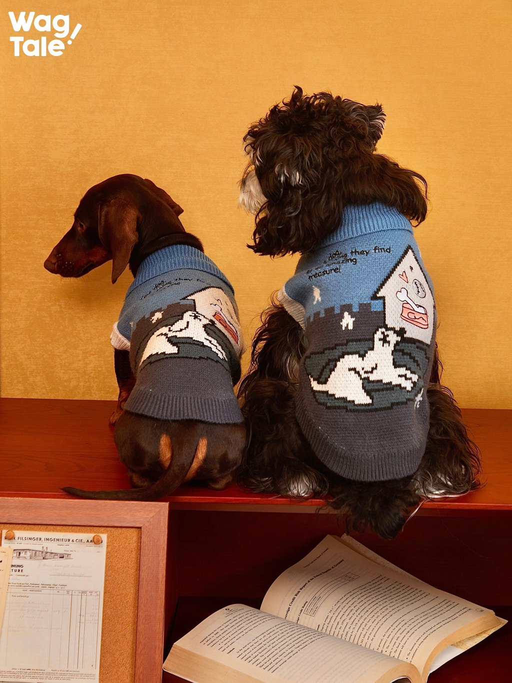 Embroidered High Neck Dog Sweater