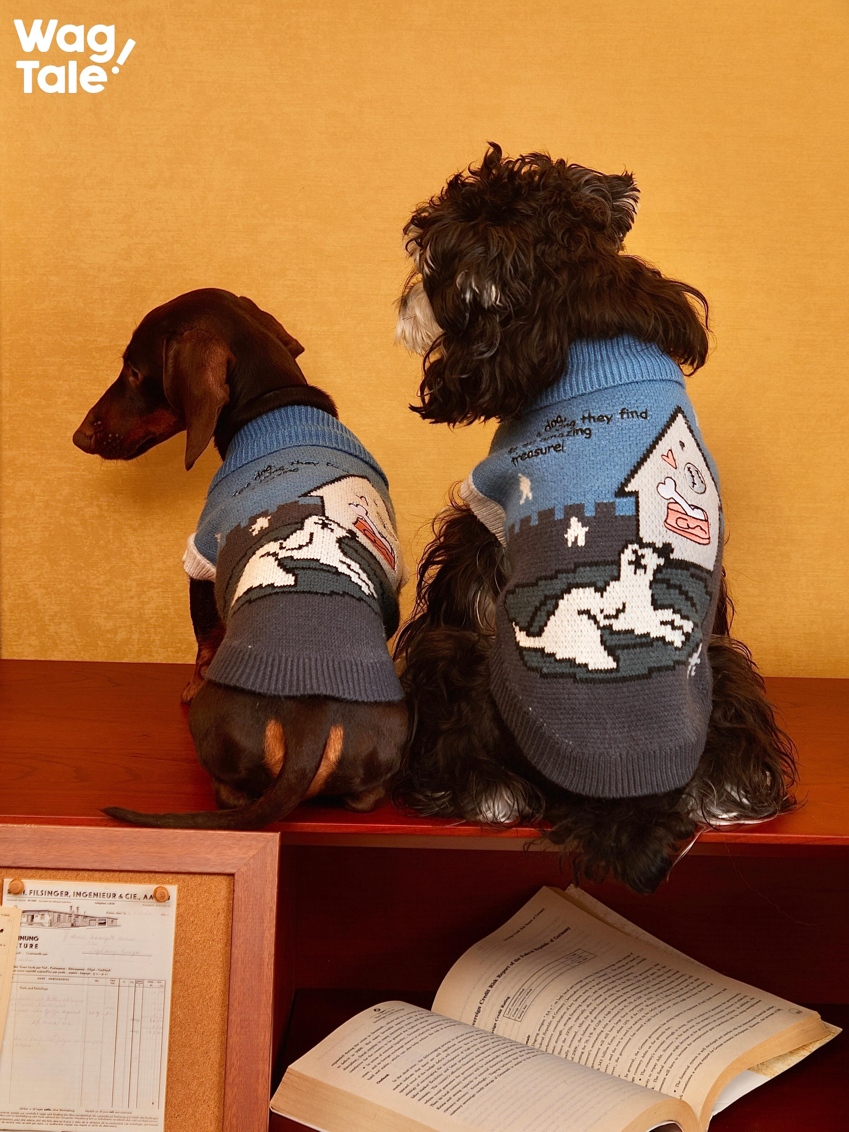 Embroidered High Neck Dog Sweater