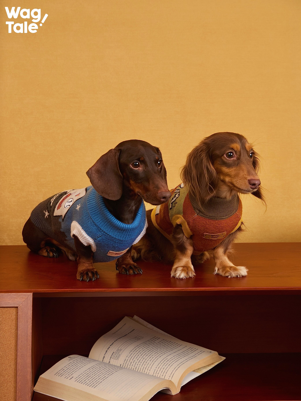 Embroidered High Neck Dog Sweater