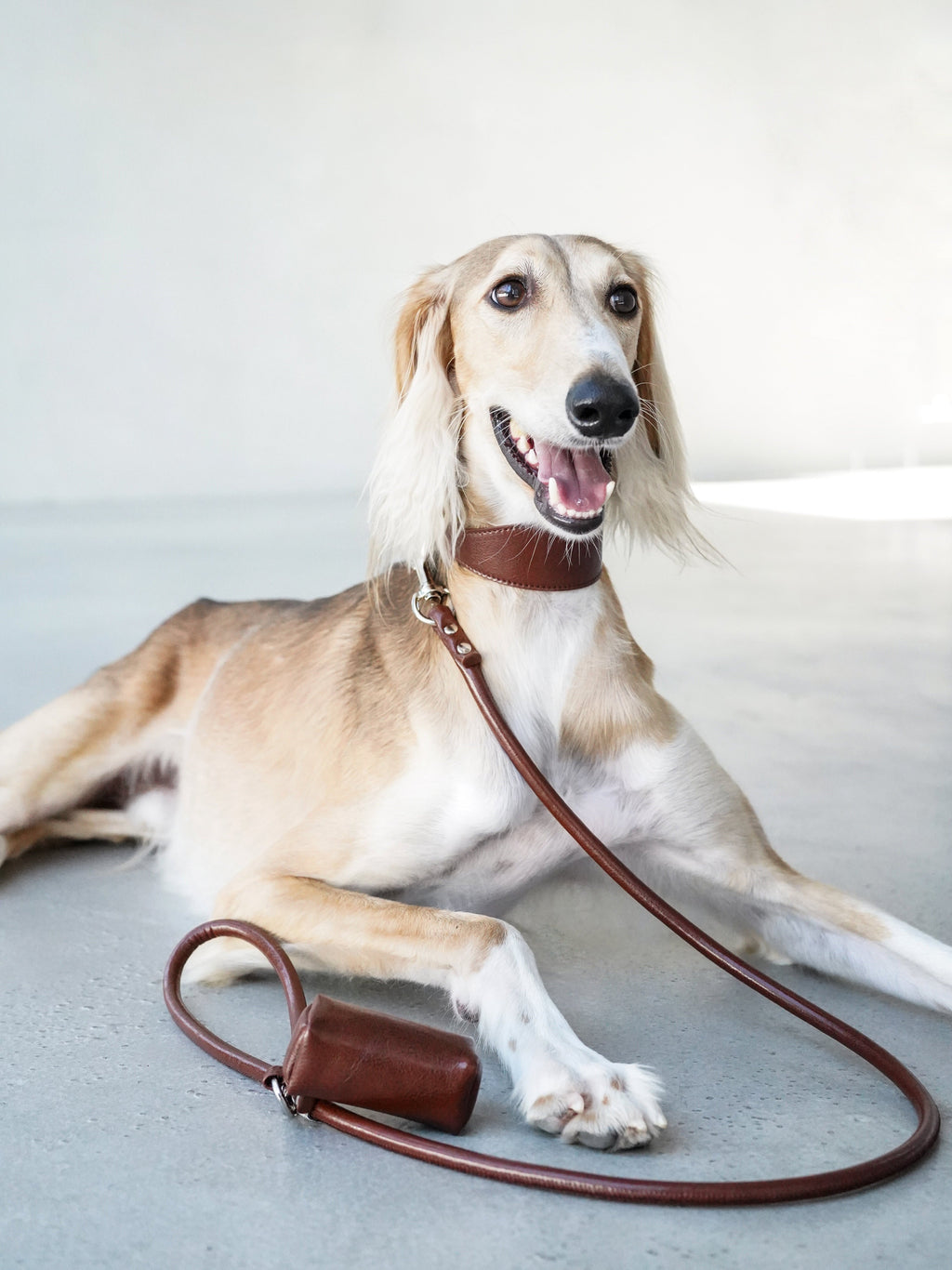 Leather Dog Collar-Leash Set