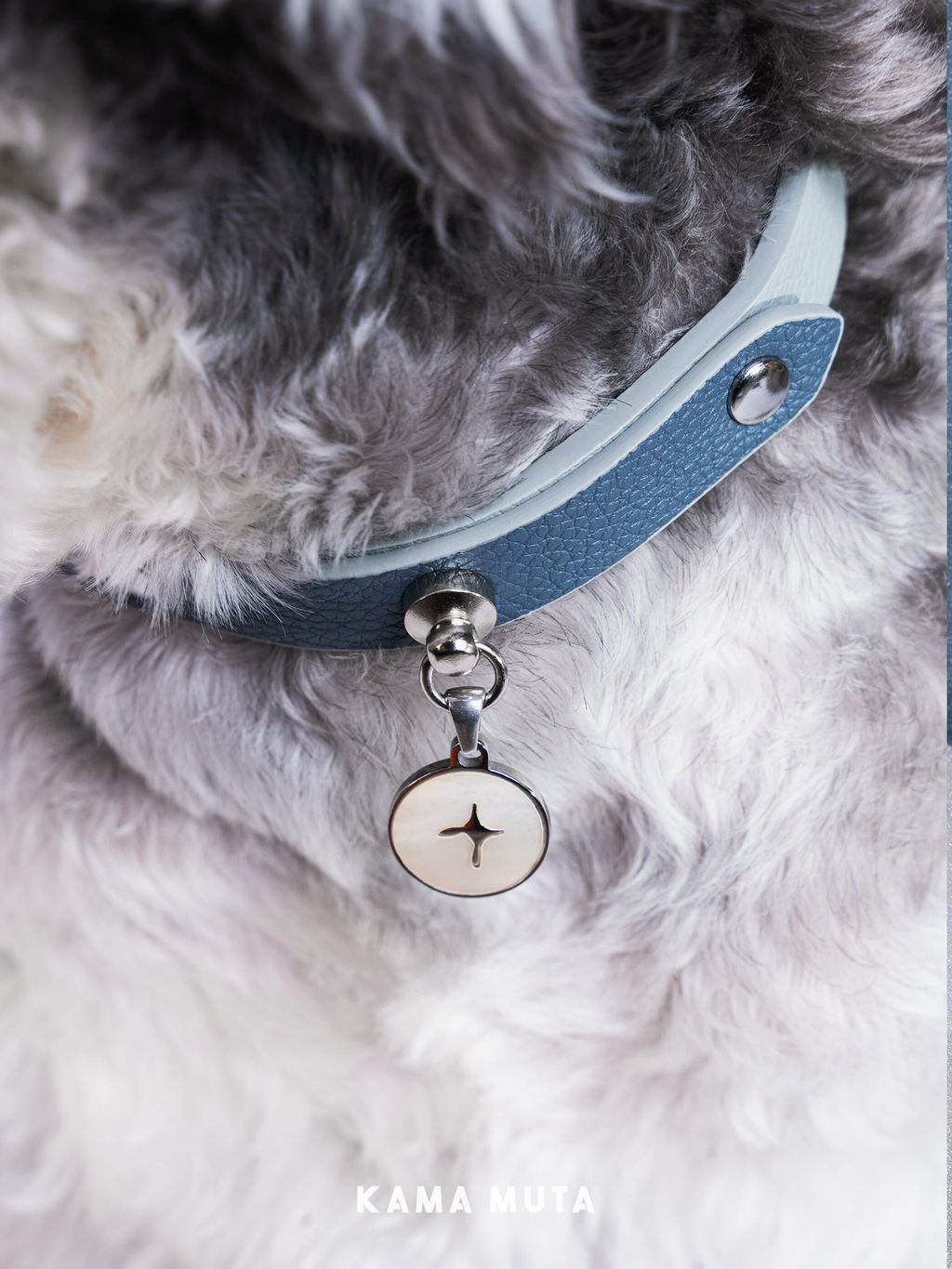 Leather Dog Collar with Pearl Charm