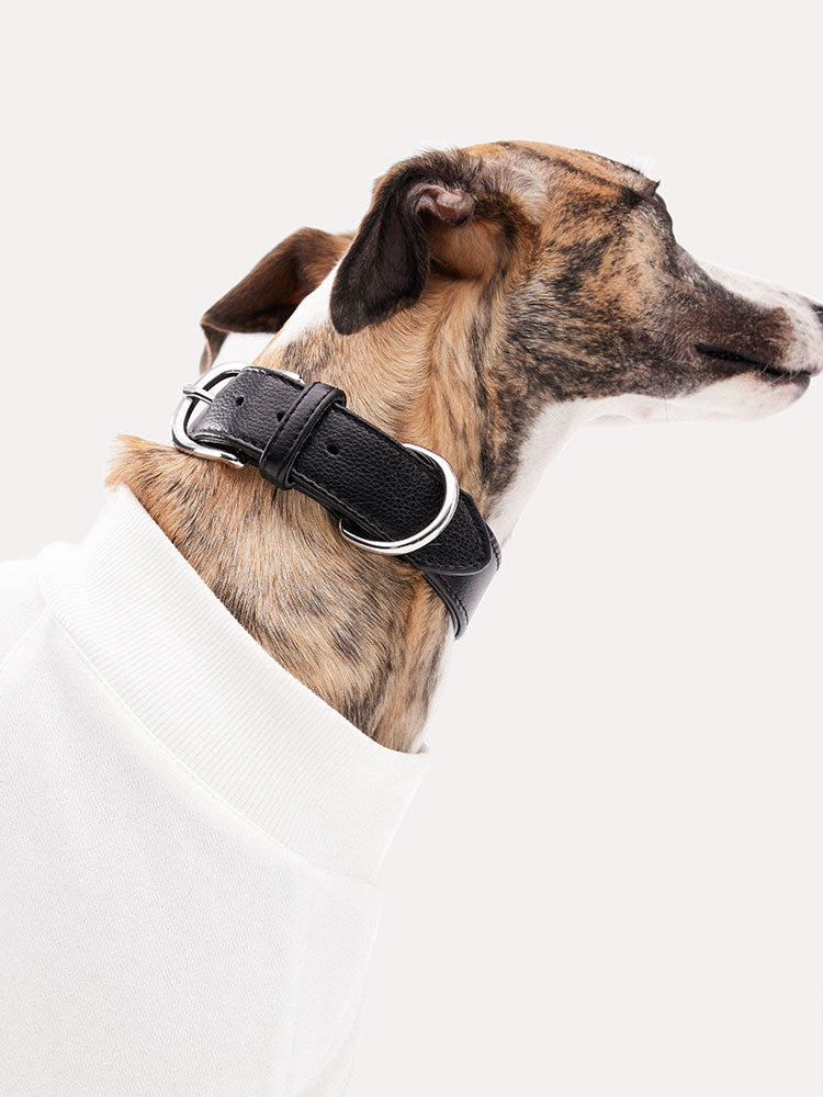 Leather Dog Collar
