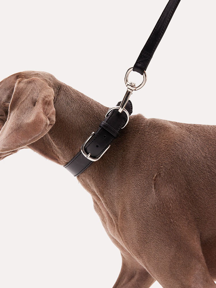 Leather Dog Leash
