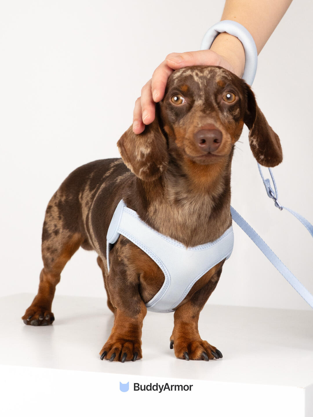 Ultra-Comfort™ Elastic Dog Harness