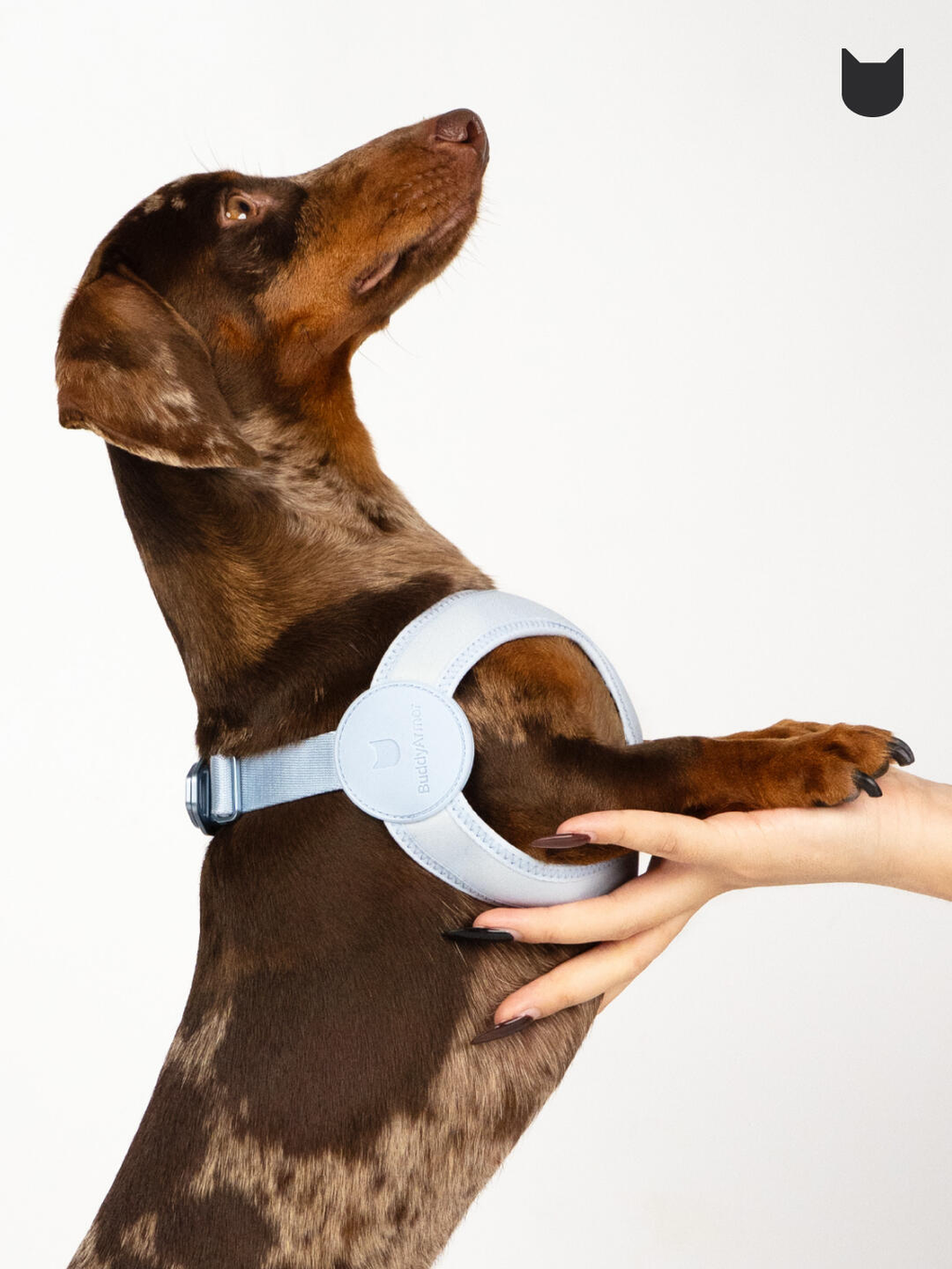 Ultra-Comfort™ Elastic Dog Harness