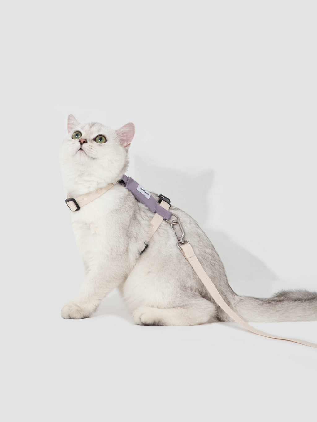 H Strap Adjustable Cat Harness