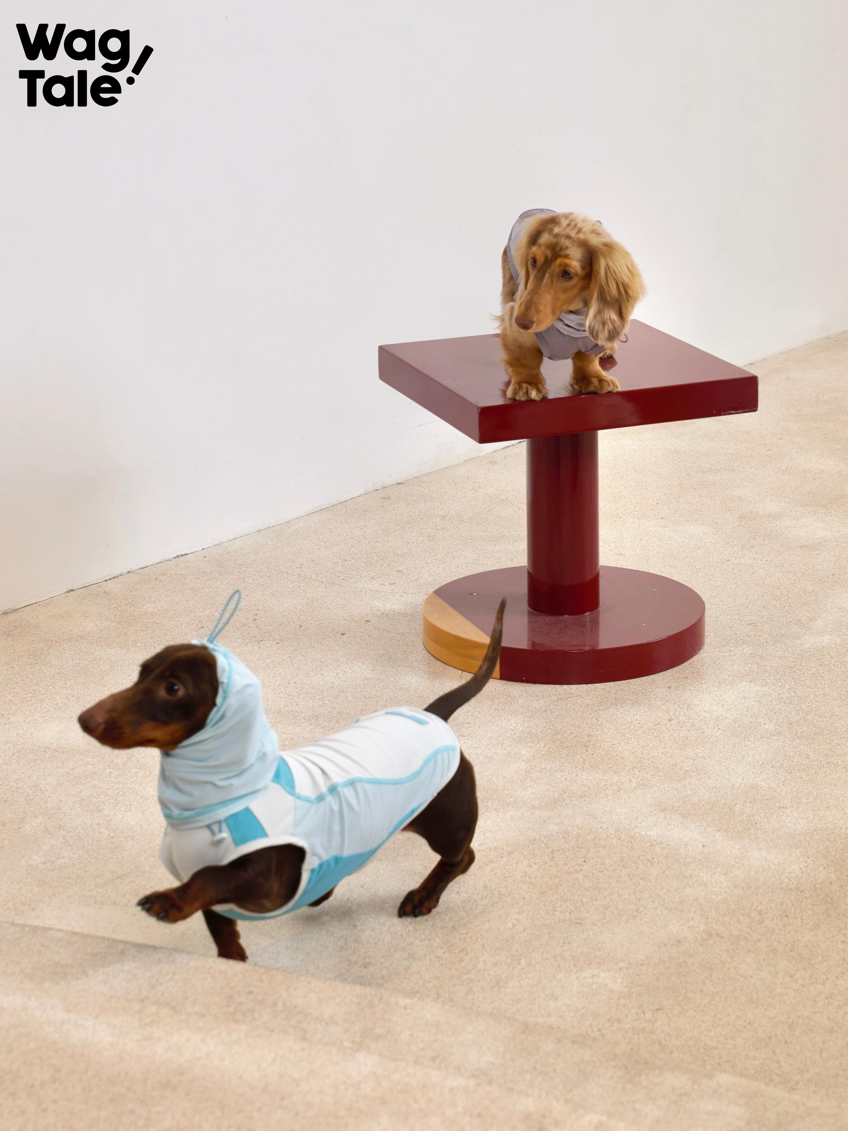 Sun-Protective Cooling Dog Vest