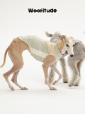 UV-Protective Dog Vest