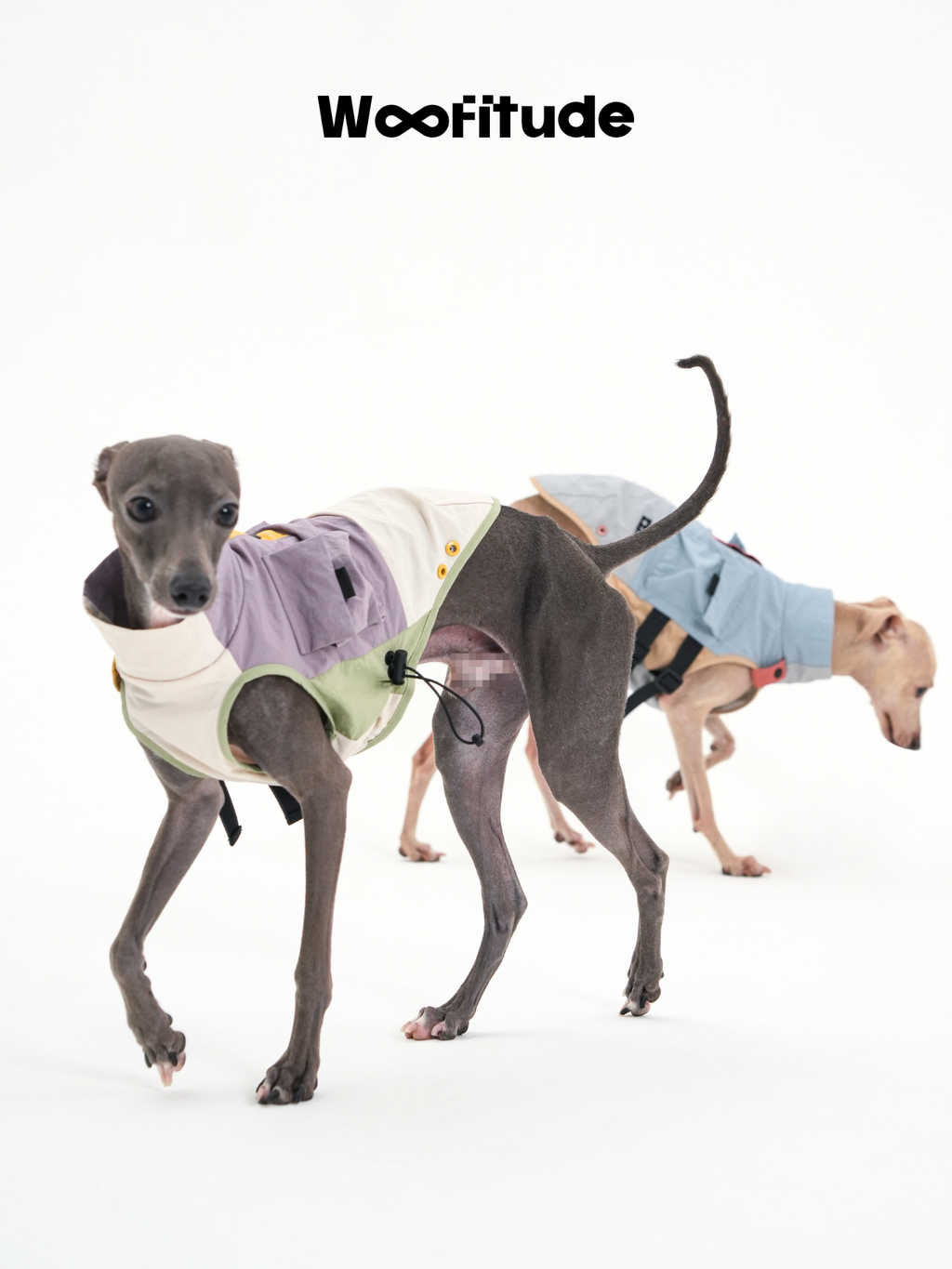 Utility Dog Vest