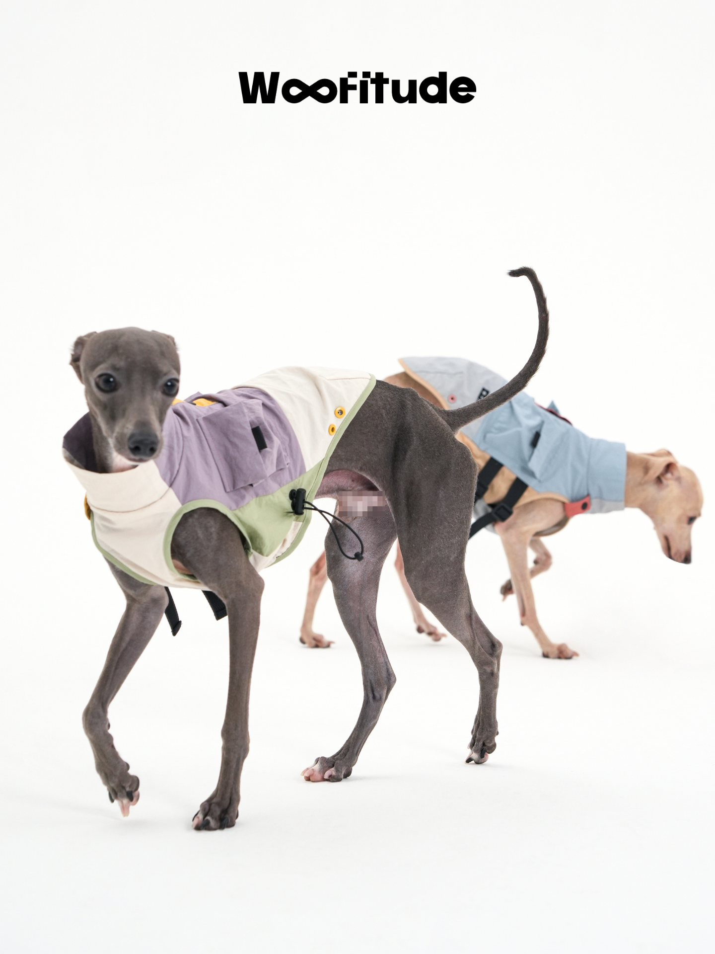 Utility Dog Vest