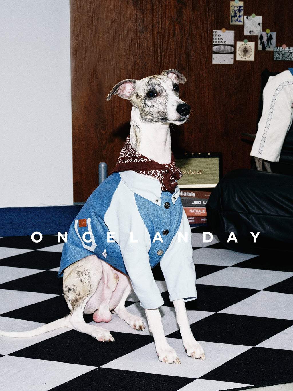 Dog Denim Shirt