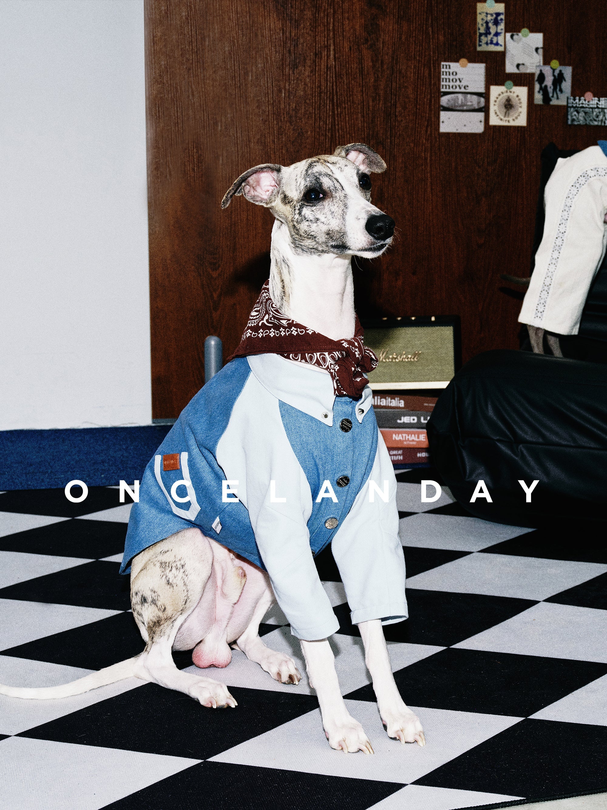Dog Denim Shirt