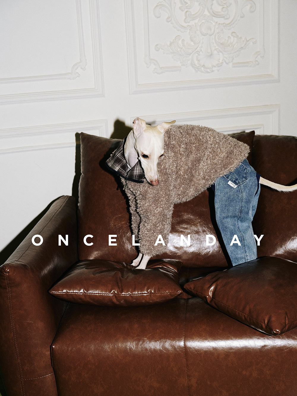 Shearling Dog Jacket