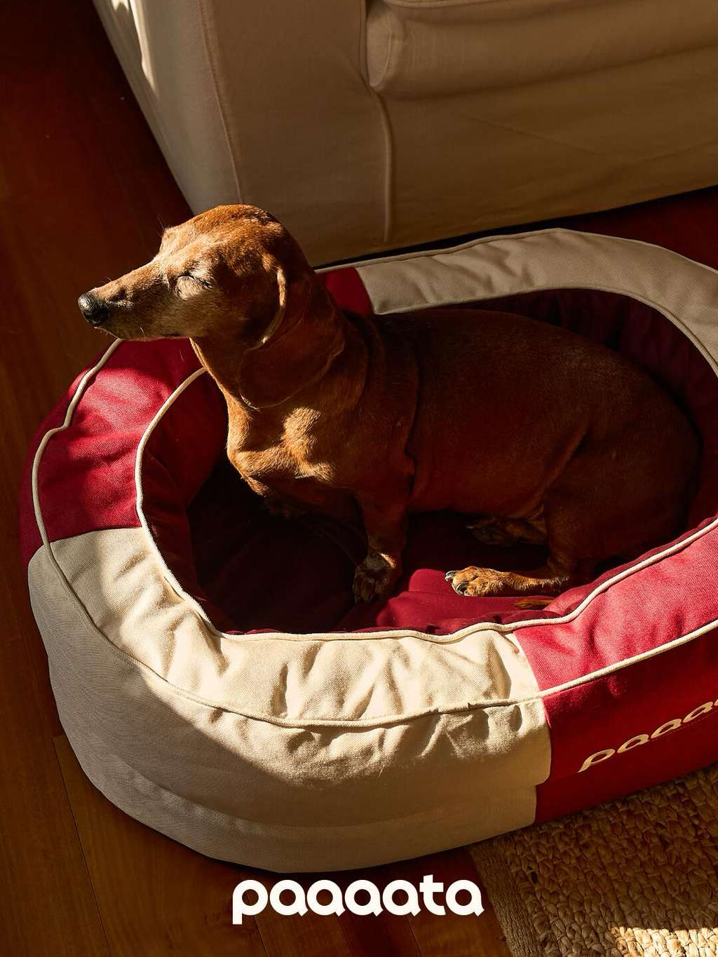 Orthopedic Memory Foam Bolster Dog Bed