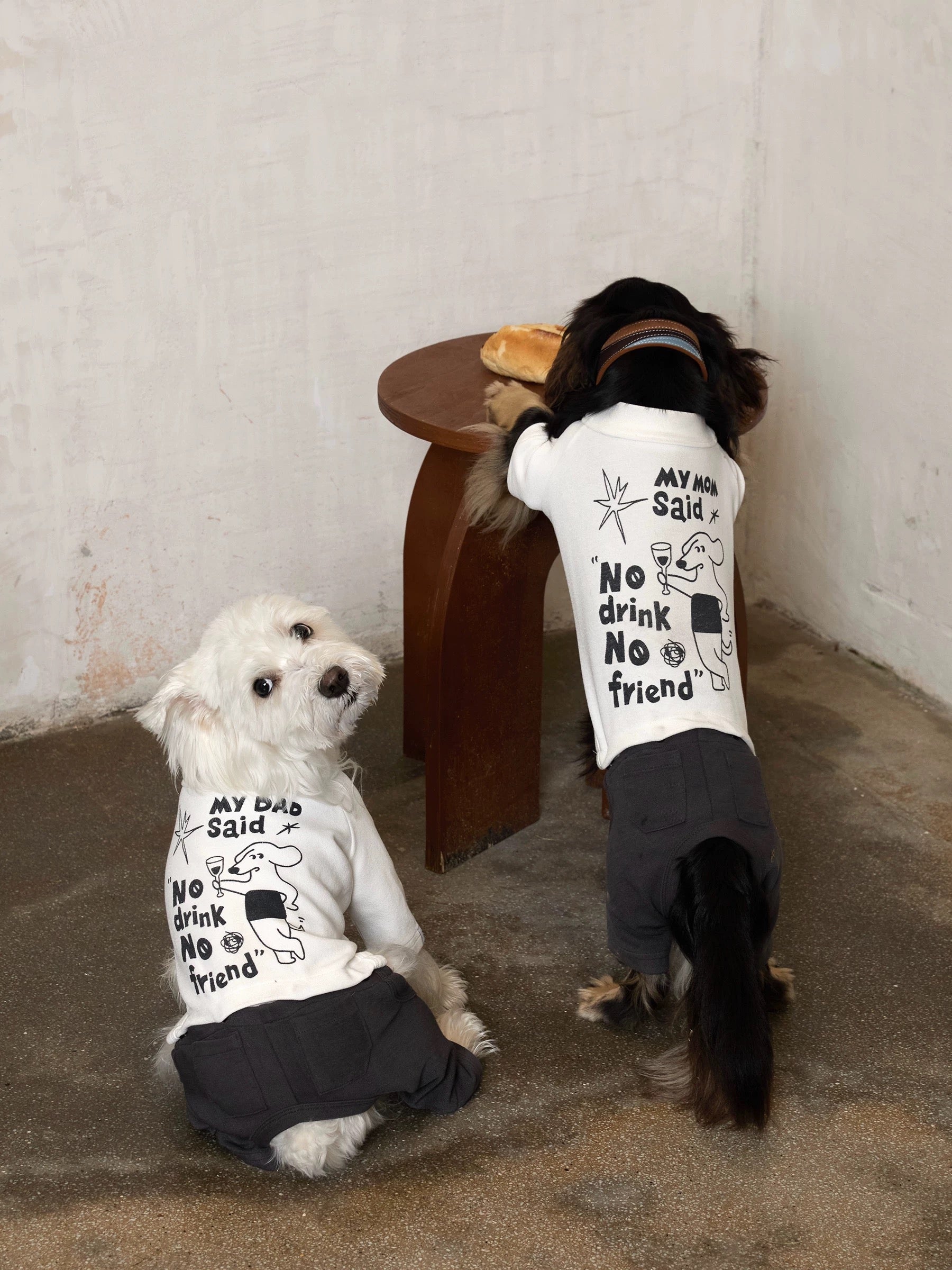 Graphic Dog Suit