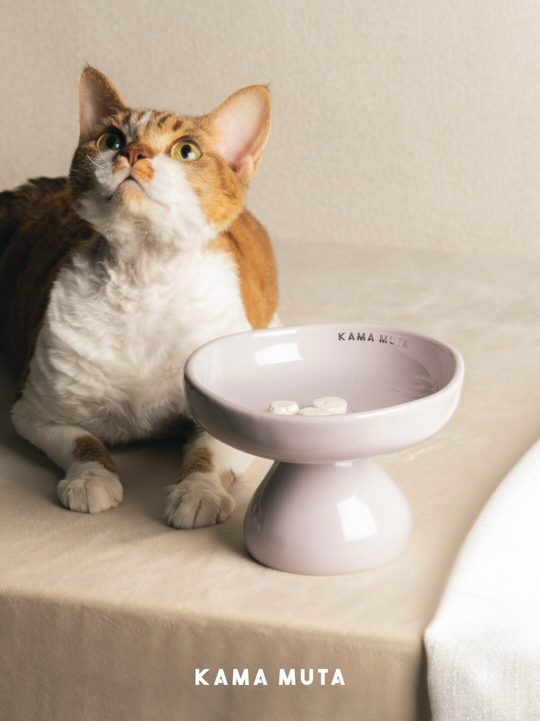Mushroom Elevated Ceramic Cat Bowl
