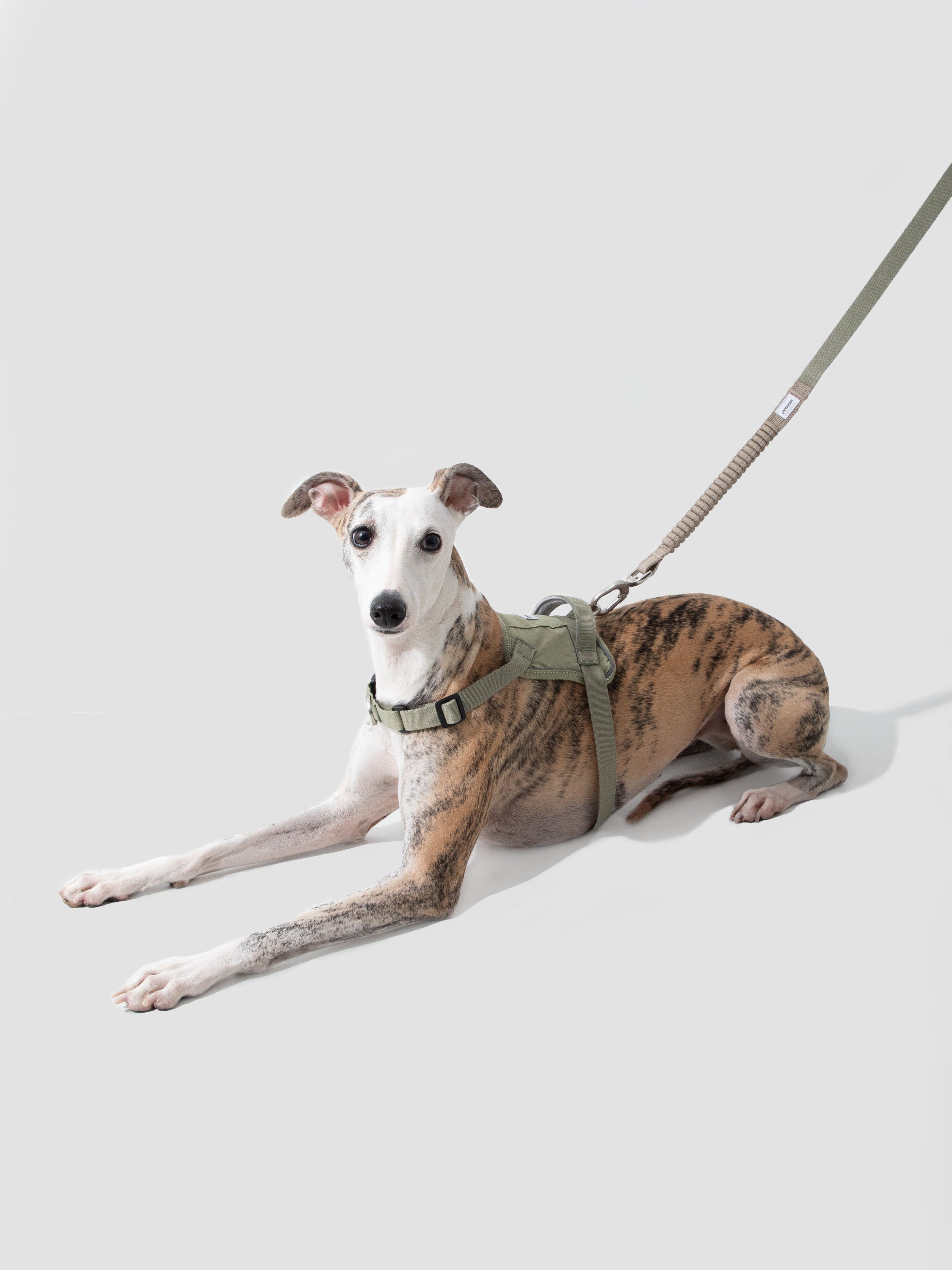 Saddle Style Dog Harness with Handle