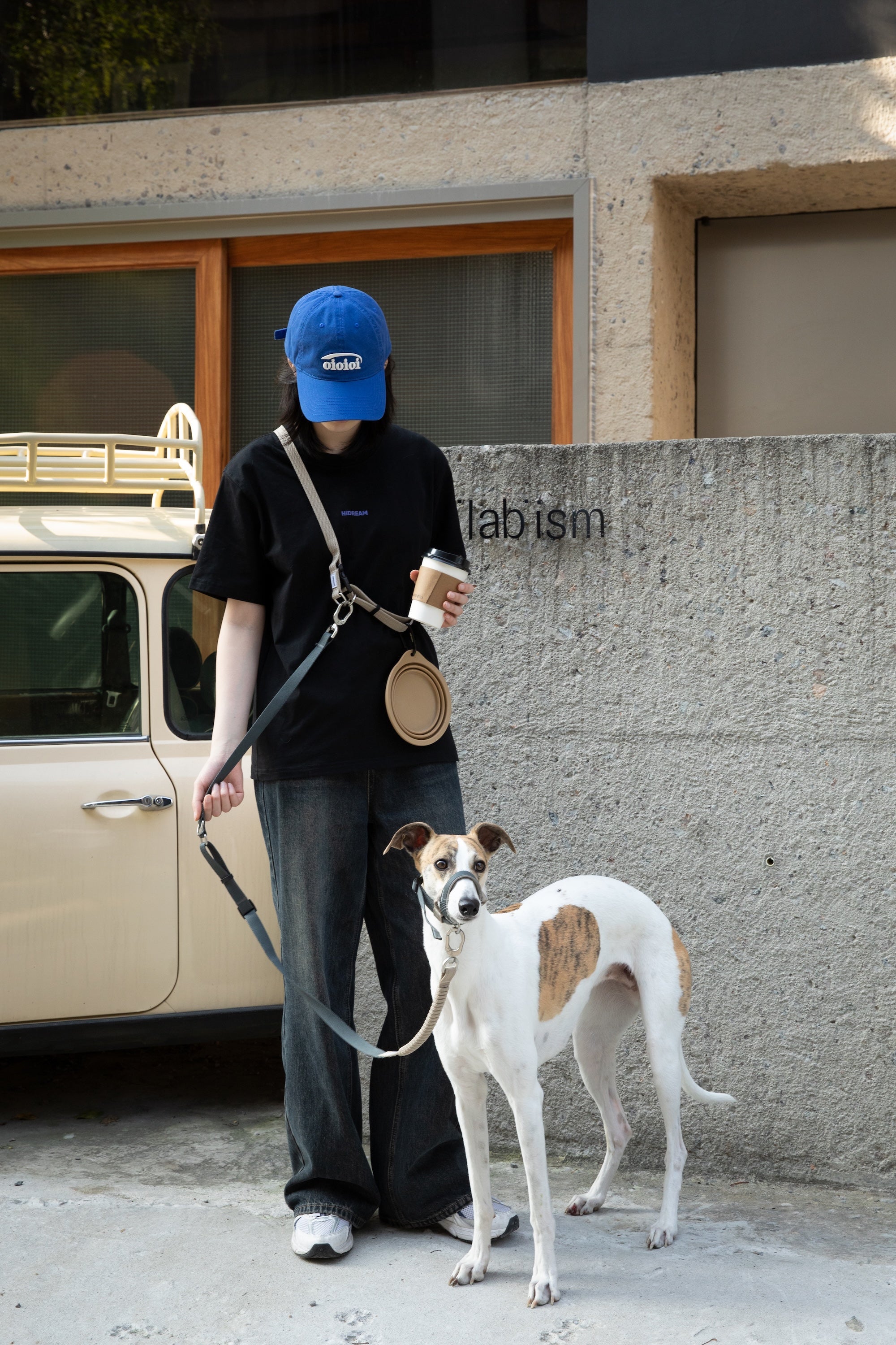 Anti-Pull Dog Head Collar