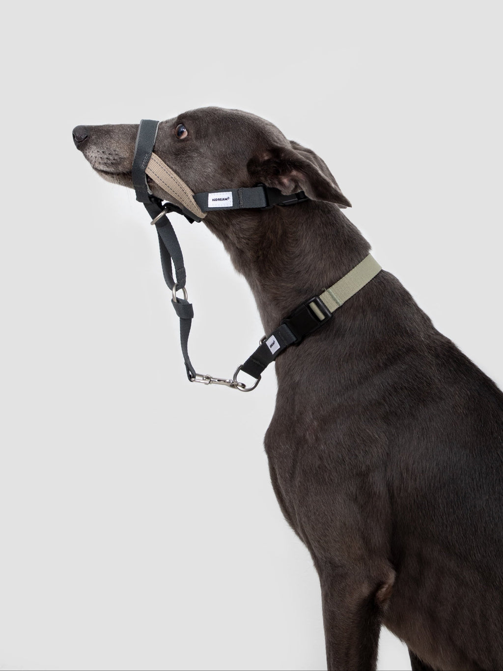 No-Pull Dog Head Collar